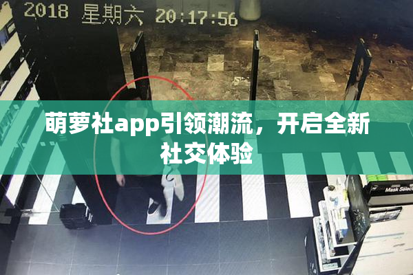 萌萝社app引领潮流，开启全新社交体验