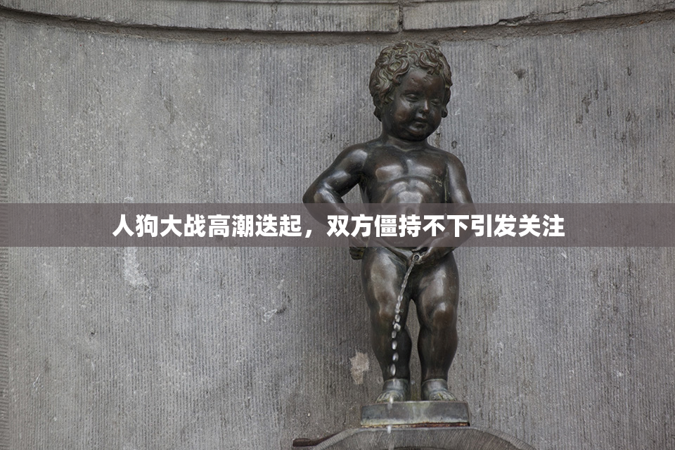人狗大战高潮迭起，双方僵持不下引发关注