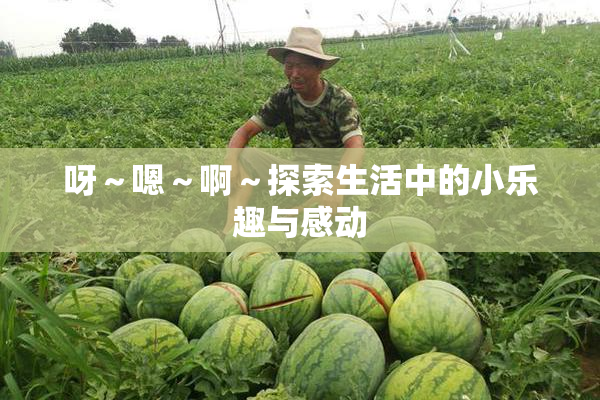 呀～嗯～啊～探索生活中的小乐趣与感动