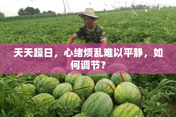 天天躁日，心绪烦乱难以平静，如何调节？