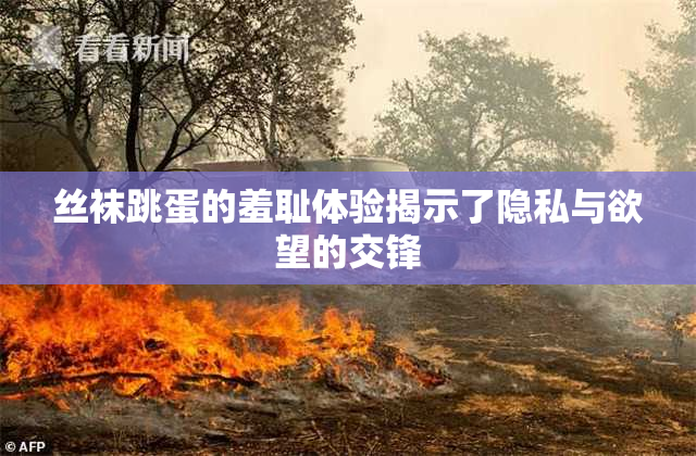 丝袜跳蛋的羞耻体验揭示了隐私与欲望的交锋