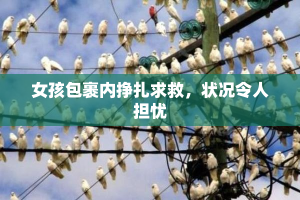 女孩包裹内挣扎求救，状况令人担忧