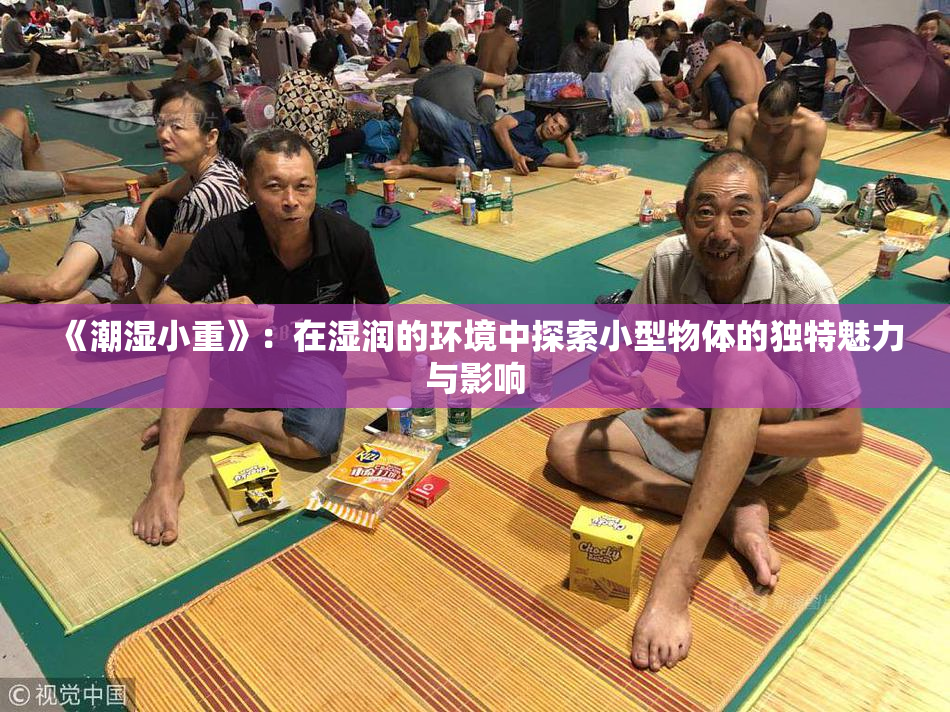 《潮湿小重》：在湿润的环境中探索小型物体的独特魅力与影响