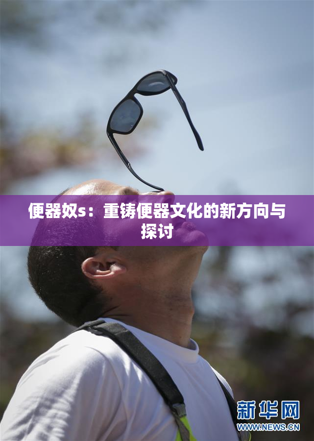 便器奴s：重铸便器文化的新方向与探讨