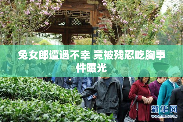 兔女郎遭遇不幸 竟被残忍吃胸事件曝光