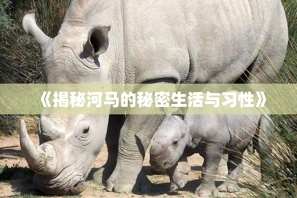 《揭秘河马的秘密生活与习性》