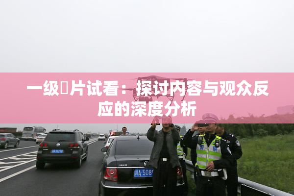 一级婬片试看：探讨内容与观众反应的深度分析