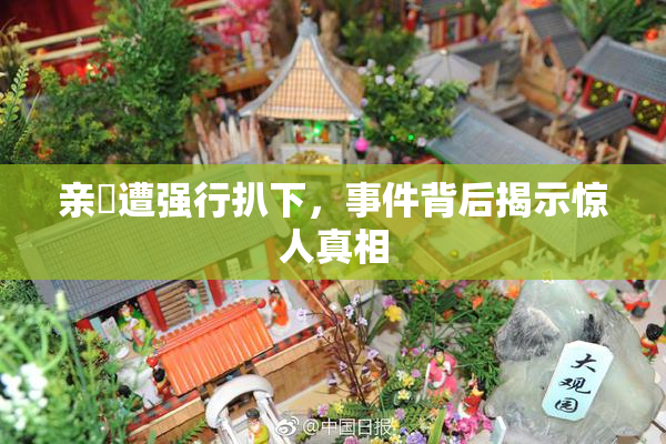 亲妺遭强行扒下，事件背后揭示惊人真相