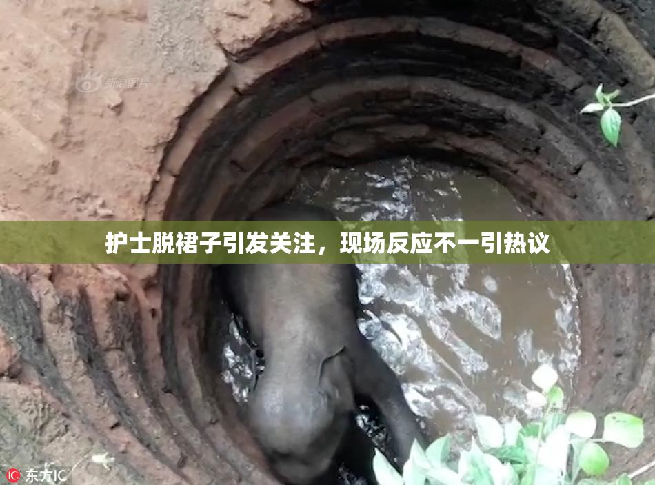护士脱裙子引发关注，现场反应不一引热议