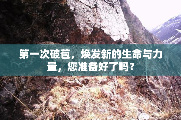 第一次破苞，焕发新的生命与力量，您准备好了吗？