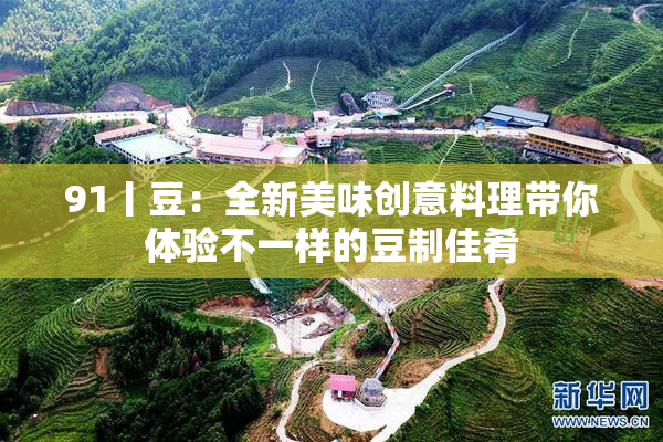 91丨豆：全新美味创意料理带你体验不一样的豆制佳肴