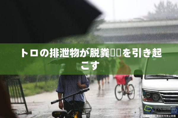トロの排泄物が脱粪問題を引き起こす