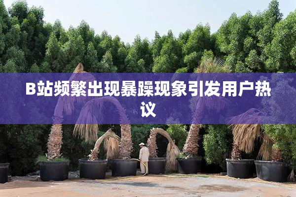 B站频繁出现暴躁现象引发用户热议