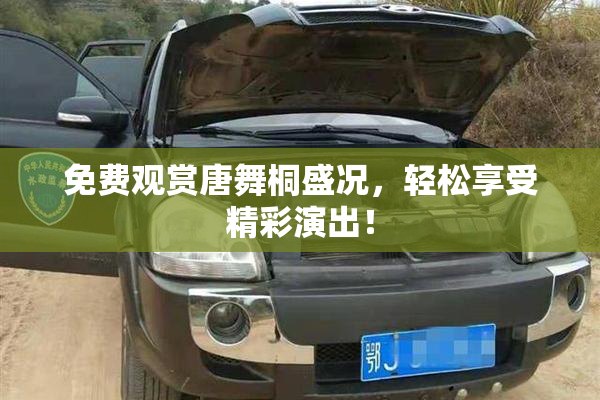 免费观赏唐舞桐盛况，轻松享受精彩演出！