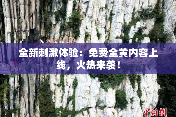 全新刺激体验：免费全黄内容上线，火热来袭！