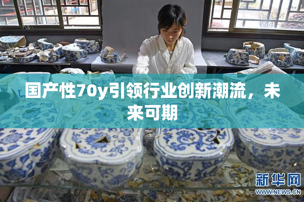 国产性70y引领行业创新潮流，未来可期