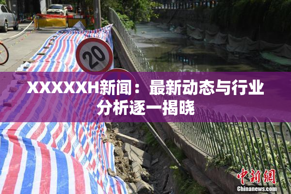 XXXXXH新闻：最新动态与行业分析逐一揭晓
