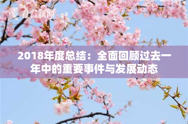 2018年度总结：全面回顾过去一年中的重要事件与发展动态