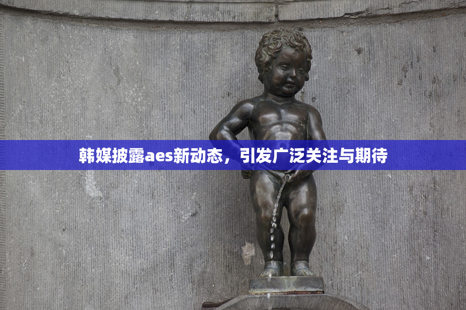 韩媒披露aes新动态，引发广泛关注与期待