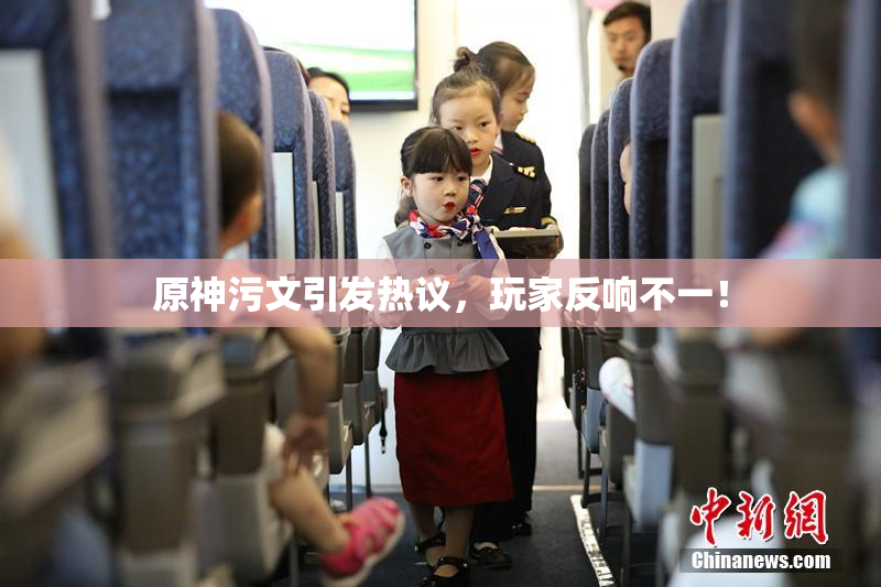 原神污文引发热议，玩家反响不一！