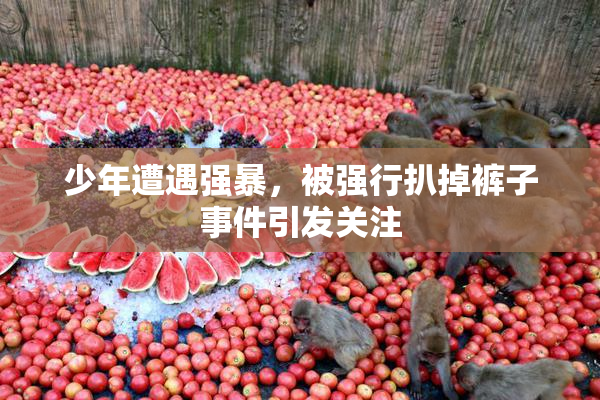 少年遭遇强暴，被强行扒掉裤子事件引发关注
