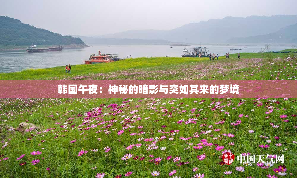 韩国午夜：神秘的暗影与突如其来的梦境