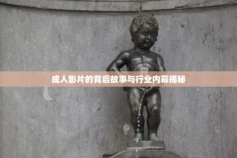 成人影片的背后故事与行业内幕揭秘