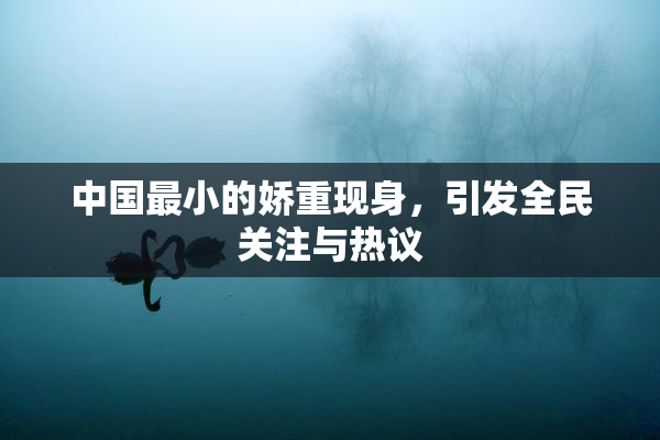 中国最小的娇重现身，引发全民关注与热议