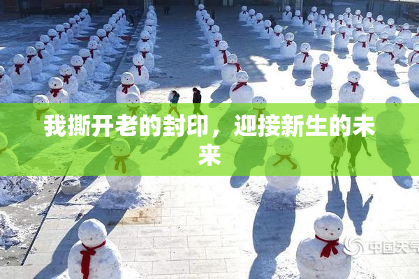 我撕开老的封印，迎接新生的未来