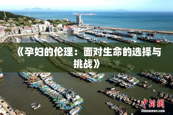《孕妇的伦理：面对生命的选择与挑战》