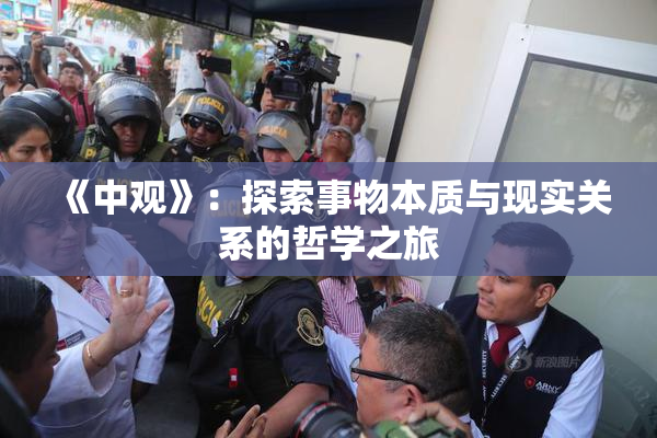 《中观》：探索事物本质与现实关系的哲学之旅