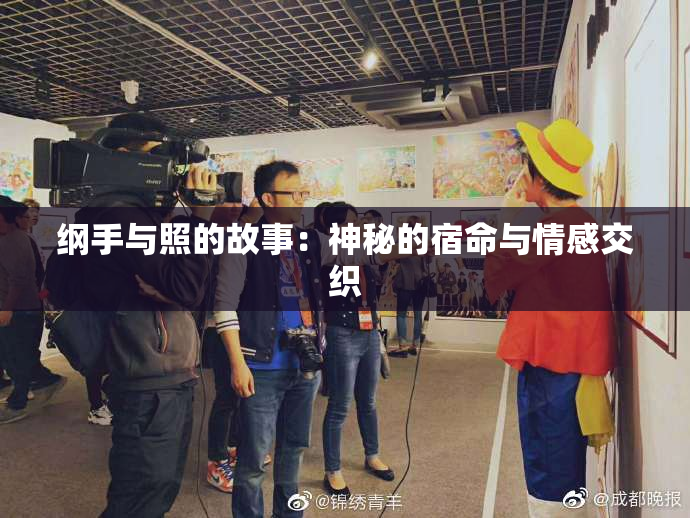 纲手与照的故事：神秘的宿命与情感交织