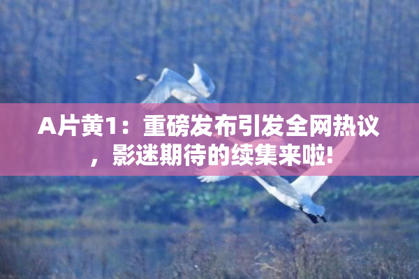 A片黄1：重磅发布引发全网热议，影迷期待的续集来啦!