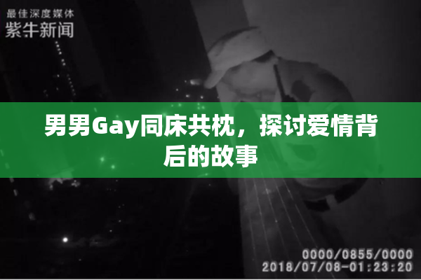 男男Gay同床共枕，探讨爱情背后的故事