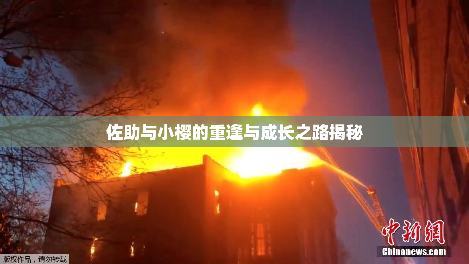 佐助与小樱的重逢与成长之路揭秘