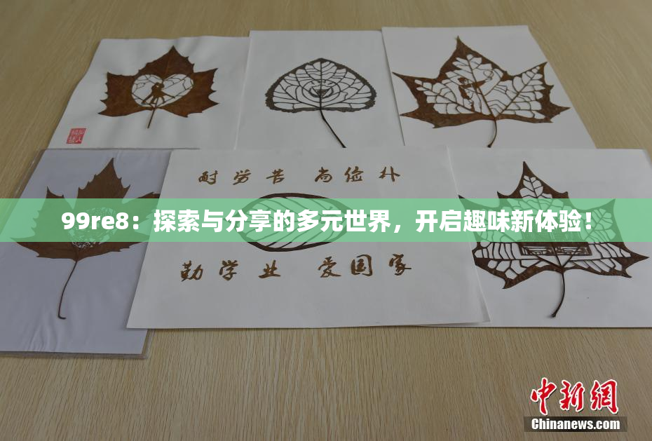 99re8：探索与分享的多元世界，开启趣味新体验！