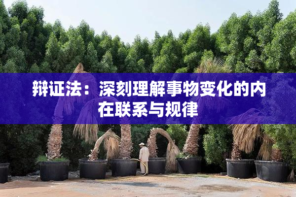 辩证法：深刻理解事物变化的内在联系与规律