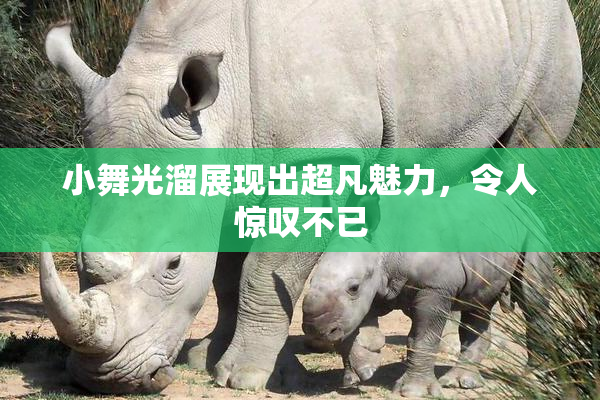 小舞光溜展现出超凡魅力，令人惊叹不已