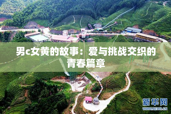 男c女黄的故事：爱与挑战交织的青春篇章