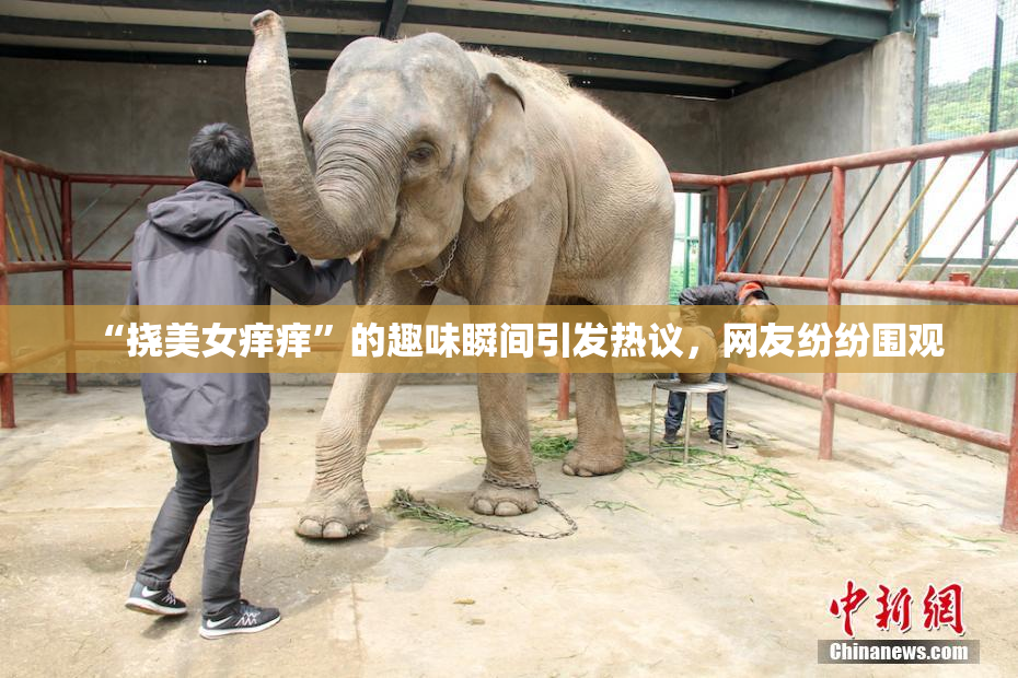 “挠美女痒痒”的趣味瞬间引发热议，网友纷纷围观
