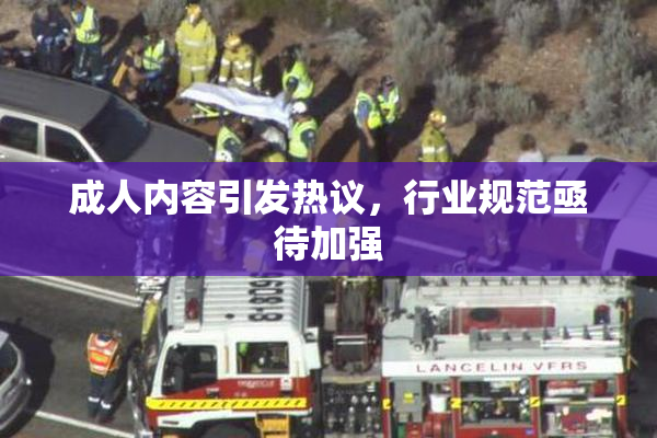 成人内容引发热议，行业规范亟待加强