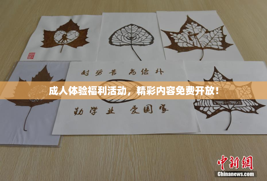 成人体验福利活动，精彩内容免费开放！