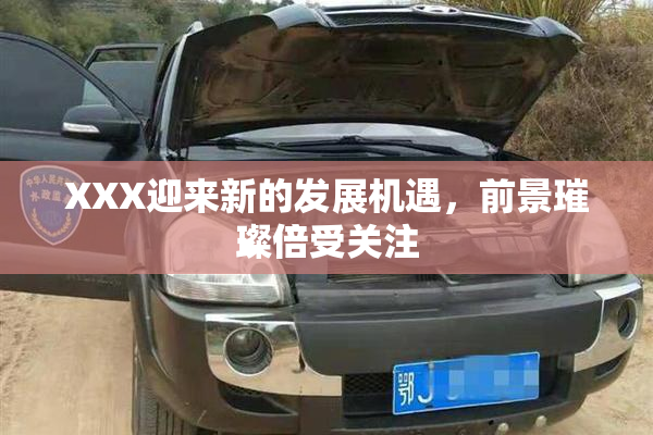 XXX迎来新的发展机遇，前景璀璨倍受关注