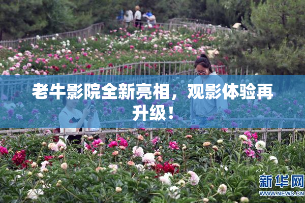 老牛影院全新亮相，观影体验再升级！