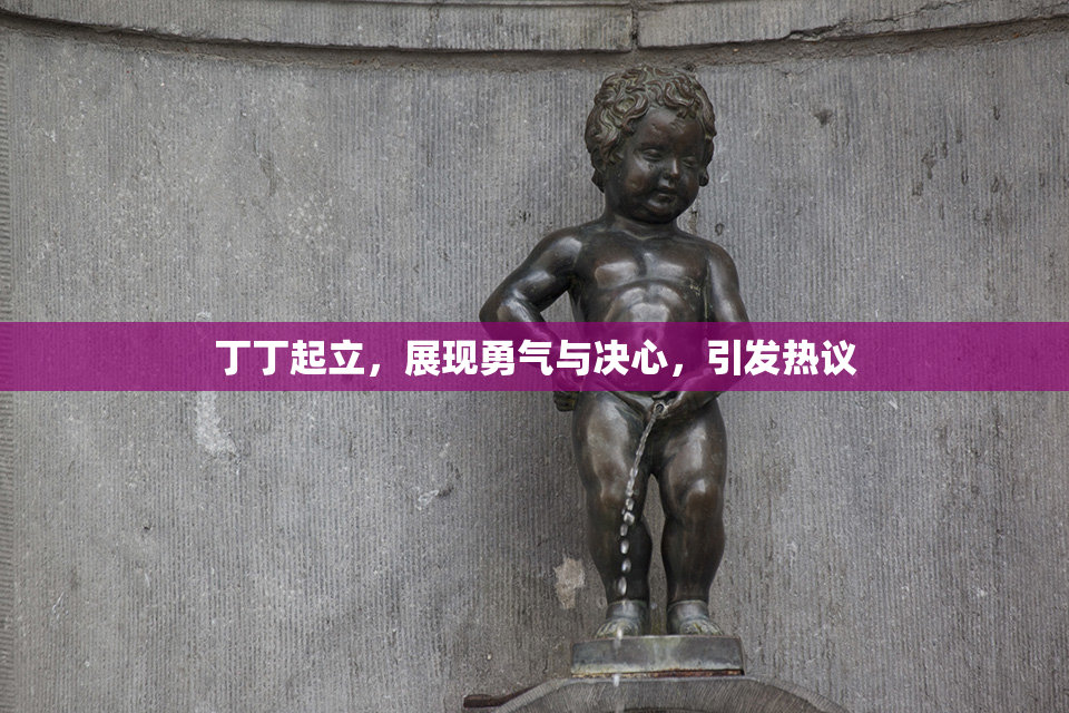 丁丁起立，展现勇气与决心，引发热议