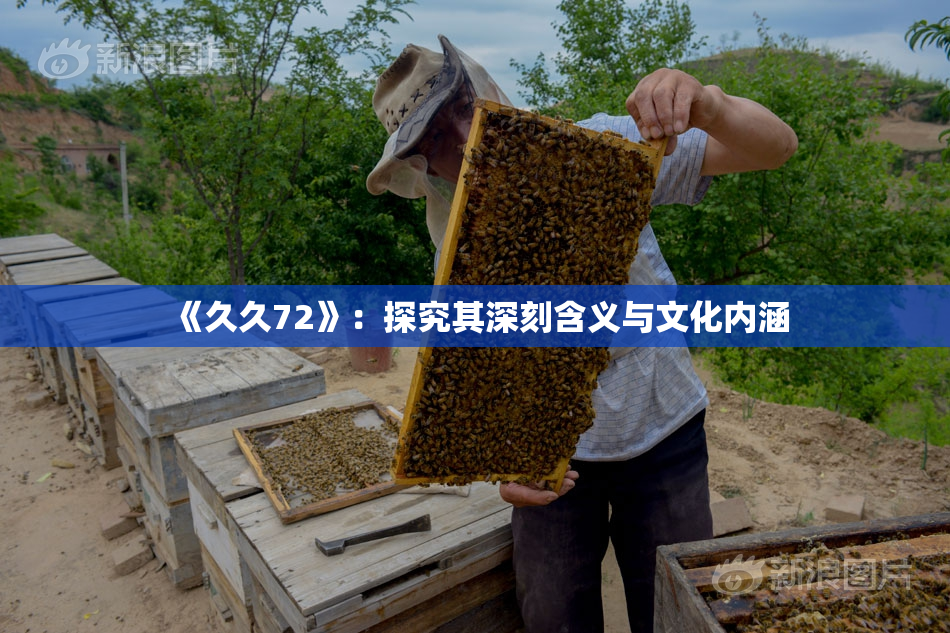 《久久72》：探究其深刻含义与文化内涵