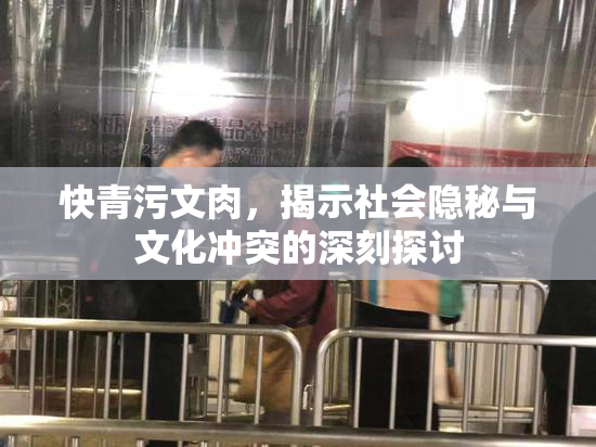 快青污文肉，揭示社会隐秘与文化冲突的深刻探讨