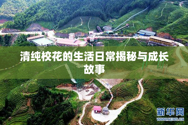 清纯校花的生活日常揭秘与成长故事