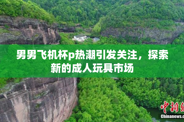 男男飞机杯p热潮引发关注，探索新的成人玩具市场