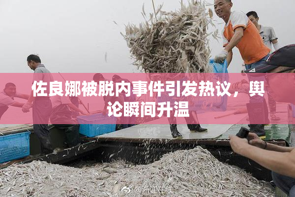 佐良娜被脱内事件引发热议，舆论瞬间升温